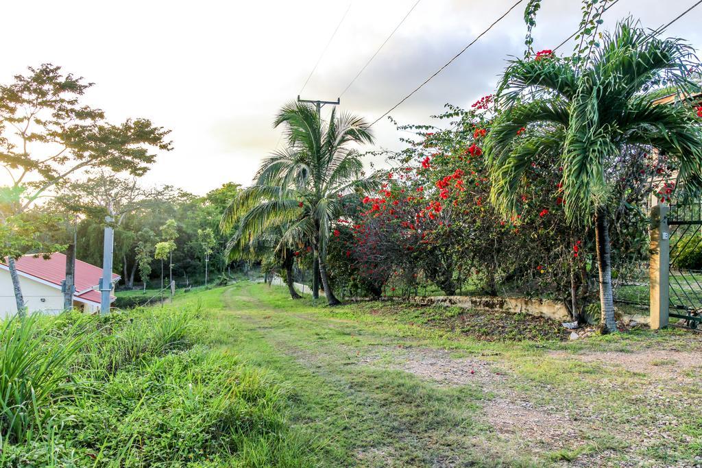 Villa Maya سان إجناسيو المظهر الخارجي الصورة